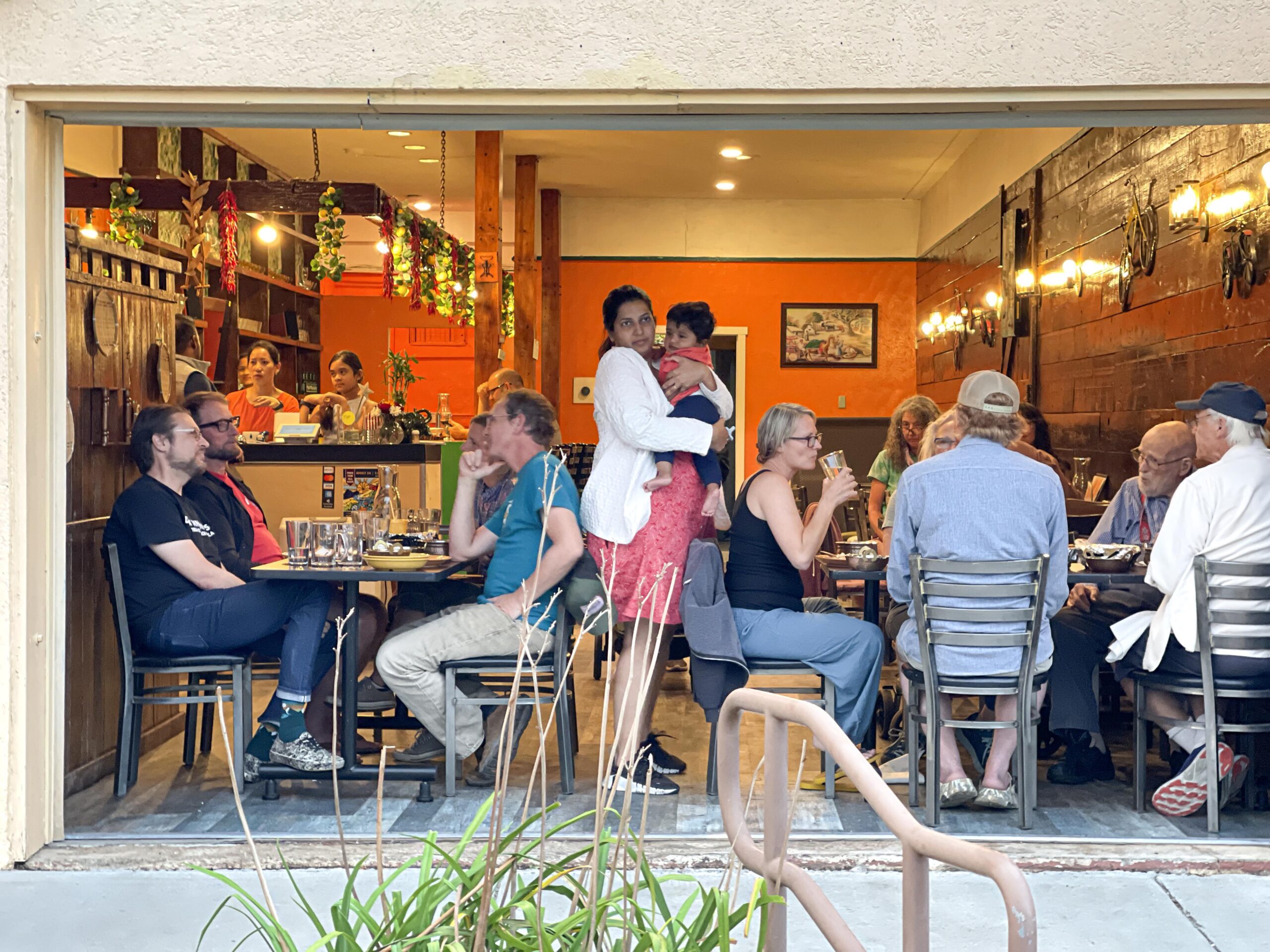 You are currently viewing Top 10 Must-Try Indian Dishes in Colorado (From Indian Bites Lyons)